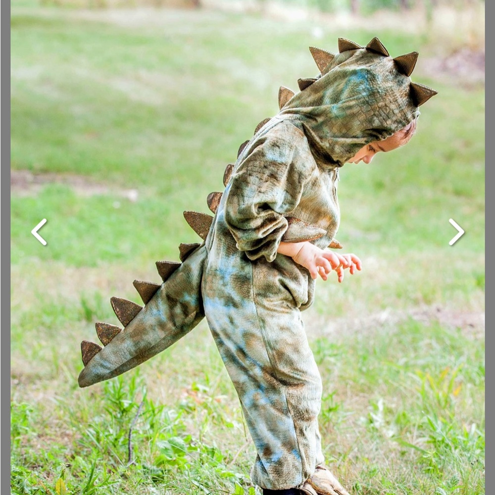 Size 4 toddler t-Rex 🦖 costume